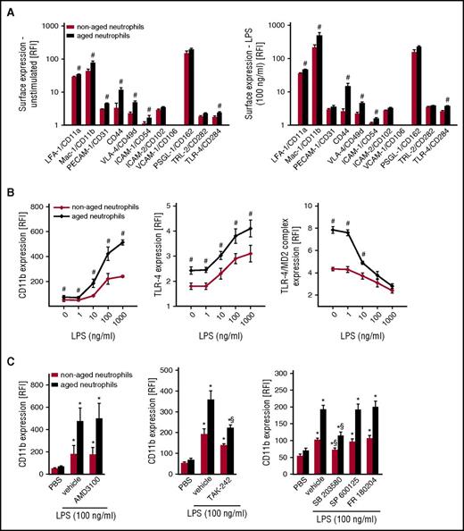 Figure 2. Surface expression of adhesion and signaling molecules on aged neutrophils. Using multichannel flow cytometry, surface expression of different adhesion and signaling molecules on aged neutrophils was analyzed as detailed in “Methods.” Quantitative data for aged and nonaged neutrophils isolated from the peripheral blood of WT mice undergoing exposure to PBS or LPS (A, B), as well as to the CXCR4 inhibitor AMD3100, the TLR-4 inhibitor TAK-242, or the MAPK inhibitor compounds FR180204 (ERK 1/2 MAPK), SB203580 (p38 MAPK), or SP600125 (JNK MAPK) (C). Mean ± SEM for n = 4-6; #P < .05 vs nonaged neutrophils; *P < .05 vs PBS; §P < .05 vs drug vehicle. RFI, relative fluorescence intensity.