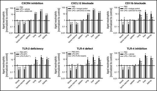 Figure 4. Mechanisms underlying trafficking of aged neutrophils during inflammation. Using multichannel flow cytometry, numbers of aged and nonaged neutrophils in bone marrow, blood, and lysates of different organs of WT, TLR-2−/−, or TLR-4-mutant mice and of WT mice receiving intra-arterial injections of the CXCR4 inhibitor AMD3100, blocking anti-CXCL12 mAbs, the TLR-4 inhibitor TAK-242, or drug vehicle/isotype control antibodies upon IP injection of PBS or LPS were quantitatively analyzed as detailed in “Methods.” Results that have been normalized to controls are shown. Mean ± SEM for n = 4-5; #P < .05 vs PBS; *P < .05 vs drug vehicle/isotype control/WT.
