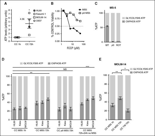 Figure 5. AML cells in contact to stromal cells with functional mitochondria increase their oxidative phosphorylation derived ATP. (A) ATP levels normalized to cell number in specified AML cell line after 1 (control condition: CC 1h) or 72 hours of MS-5-AML cocultures (CC 72h) determined by ATP bioluminescence assay. (B-C) Mitochondrial deficient MS-5 (ρ0 MS-5) were generated by 12-week cultures using low-dose ethidium bromide. ρ0 MS-5 are insensitive to (B) FCCP and (C) have a greatly impaired ATP production by mitochondria. (C-E) Luciferase-expressing AML cells were treated with oligomycin A and iodoacetate to, respectively, block oxidative phosphorylation or glycolysis, or a combination of both inhibitors. The percentage of ATP from mitochondrial oxydative phosphorylation (OXPHOS ATP) or from glycolysis (GLYCOLYSIS ATP) is displayed. (C) Mitochondrial respiration was impaired by the respiratory chain poison rotenone (10 minutes, 10 µM). (D) Percentage of OXPHOS and GLYCOLYSIS ATP in HL-60, Kasumi-1, and MOLM-14 AML cell lines after 1- or 72-hour coculture with MS-5 (CC MS-5) or p0 MS-5 or recovered from CC MS-5 and cultured in suspension for an additional 24 hours. (E) MOLM-14 cells were culture in Transwell (0.4 µm) permeable supports to prevent cell contact. (A-C,E) The experiment is representative of 3 to 5 experiments and was performed in triplicate. (D) Mean result of 5 independent experiments (NSP > .05, *P < .1; **P < .01 ***P < .01 in a paired t test or by ANOVA).