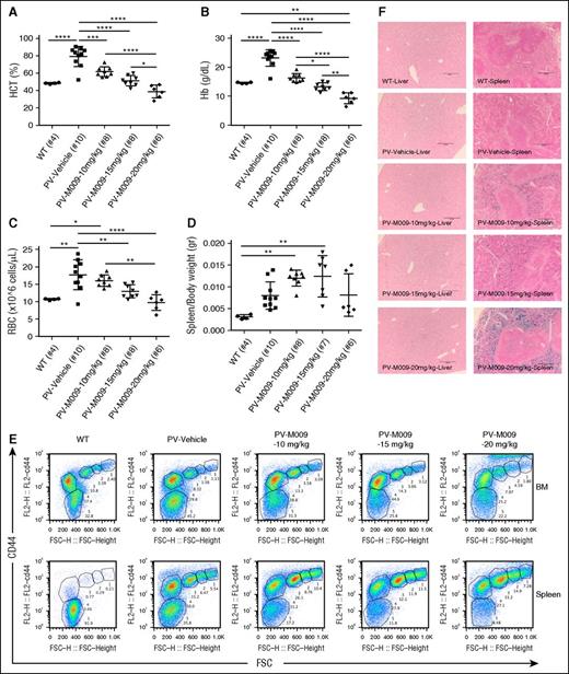 Figure 6. Prolonged treatment of PV mice with minihepcidin can cause iron-restricted erythropoiesis. PV mice (Jak2V617F/+ VAV-Cre double transgenic) generated by BM transplantation (as seen before) start receiving M009 or vehicle by SC injections 4 weeks post-BM transplant (at a dose of 10, 15, or 20 mg/kg) twice a week for 6 weeks. Hematological parameters such as HCT (A), Hb (B), and RBC (C) were normalized in a dose-dependent fashion. However, this prolonged treatment was also associated with the development of iron-restricted erythropoiesis. This was indicated by increased splenomegaly (D) and erythroid maturation block shown by flow cytometry studies (E). Prussian blue staining on liver and spleen sections highlights increased iron deposition in the spleen, but not changes in liver iron content (F). Images were captured using a Leica DM4000B upright scope paired with a Spot RT/SE Slider camera (10×/numerical aperture 0.40 objective) and then acquired using the Spot 5.1 software. Results represent mean ± SD; ****P < .0001, ***P < .001, **P < .01, and *P < .05. Analysis was performed using one-way ANOVA with Tukey multiple comparison adjustment.