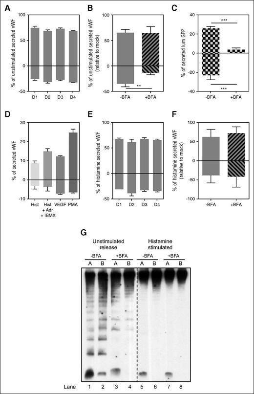 Figure 3. Polarity of VWF secretion. (A) Unstimulated VWF secretion on Transwell membranes of HUVECs grown for the time indicated (in days), expressed as a percent of secreted VWF from the total VWF in each sample (secreted plus lysate). Results standardized to D1 sample. Representative experiment, mean of 3 replicates with SD. (B) Unstimulated VWF secretion from HUVECs grown on Transwell membranes for 2 days. Cells were either left untreated (-BFA) or were treated with 5 μM of Brefeldin A (+BFA) for 1 hour before and during secretion collection from both chambers. Results standardized to control -BFA sample. Mean of 3 independent experiments with standard error of the mean (SEM). (**P < .005). (C) lumGFP secretion on Transwell membranes. HUVECs were nucleofected with lumGFP construct and seeded on Transwell membranes for 30 hours before secretion assay. Cells were treated with either Control (-BFA) or 5 μM of Brefeldin A (+BFA) for 1 hour before and during secretion collection from both chambers. Amount of lumGFP secreted expressed as a percent of total GFP in each sample (secreted plus lysate). Representative experiment reflects the mean of 3 replicates with SD. (***P < .0005). (D) Stimulated VWF secretion from HUVECs grown on Transwell membranes for 2 days. Cells were stimulated with either 100 μM histamine (Hist), 100 μM histamine plus 100 μM adrenaline plus 100 mM IBMX (Hist +Adr +IBMX), 40 ng/mL vascular endothelial growth factor, or 100 ng/mL PMA for 30 minutes while secreted VWF was collected from both chambers. Amount of VWF secreted expressed as a percent of total VWF in each sample (secreted plus lysate). Representative experiment reflects the mean of 3 replicates with SD. (E) Histamine VWF secretion from HUVECs grown on Transwell membranes for the time indicated (in days), expressed as a percent of total VWF in each sample (secreted plus lysate), relative to control (D1) sample. Results standardized to D1 sample. Representative experiment, mean of 3 replicates with SD. (F) Histamine VWF secretion from HUVECs grown on Transwell membranes for 2 days. Cells were treated with either control (-BFA) or 5 μM of Brefeldin A (+BFA) for 1 hour before and during 30 minutes 100 μM histamine stimulation and secretion collection from both chambers. Results standardized to control -BFA samples. Mean of 3 independent experiments with SEM. (G) Representative multimer pattern of secreted VWF collected from unstimulated and histamine-stimulated HUVECs. Cells were treated with either control (-BFA) or 5 μM of Brefeldin A (+BFA) for 1 hour before and during VWF secretion collection in both chambers. Unstimulated secretion was collected for 1 hour and 100 μM histamine stimulated secretion was collected for 30 minutes. The same units of VWF (as measured by ELISA) were loaded for all samples. VWF ELISA quantification corresponding to these samples is shown in (B) and (F). A, apical chamber; B, basolateral chamber. Lanes 1-4, unstimulated releasate; lanes 5-8, histamine-stimulated releasate.