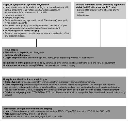 Figure 1. Diagnostic workup of systemic AL amyloidosis. Systemic amyloidosis can be suspected on the basis of symptoms of organ involvement or during biomarker-based follow-up of monoclonal gammopathy of undetermined significance. Imaging is crucial in identifying heart involvement. The echocardiographic features of advanced cardiac amyloidosis are distinctive, with nondilated ventricles showing thickening of ventricular walls, as well as of interventricular and interatrial septa; amyloid infiltration gives a characteristic “granular sparkling” aspect to the myocardial texture. Cardiac magnetic resonance imaging shows global subendocardial late gadolinium enhancement and associated abnormal myocardial and blood-pool gadolinium kinetics. Equilibrium contrast magnetic resonance imaging allows quantification of the myocardial extracellular volume, which is related to amyloid load. Diagnosis is based on tissue biopsy. Less-invasive biopsy sites (abdominal fat, minor salivary glands) can be preferred. Amyloid deposits need to be characterized by reliable techniques to unequivocally identify amyloid type. Staging of organ dysfunction and characterization of the plasma cell clone offer guidance to the design of the therapeutic approach. CT, computed tomography; ECG, electrocardiogram; ECV, extracellular volume; DPD, 3,3-diphosphono-1,2-propanodicarboxylic acid; iFISH, immunofluorescence in situ hybridization; MGUS, monoclonal gammopathy of undetermined significance; MRI, magnetic resonance imaging; PYP, pyrophosphate; US, ultrasound.