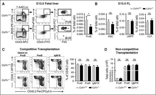 Figure 3. CSF1R deficiency impairs the emergence of ProB cells in the fetal liver. (A) (Left) Representative FACS profiles of ProB cells in E13.5 FL of Csf1r+/+ (Wt) and Csf1r−/− littermate embryos (3 experiments). Numbers represent mean percentage of gated populations relative to total FL cells. (Right) Mean percentage (± SEM) of ProB cells in E13.5 FL of Csf1r+/+ (light gray) and Csf1r−/− littermate embryos (black) (n = 12-13 embryos per genotype). (B) Mean percentage (± SEM) HSCs, LMPPs, and CLPs (Lin–KITlowSCA-1lowIL7R+FLT3+) in E13.5 FL of Csf1r+/+ and Csf1r−/− littermate embryos (n = 6-12 embryos per genotype, 2-3 experiments). (C) Lethally irradiated adult Wt recipient (CD45.1) mice were transplanted with 400 000 unfractionated Csf1r−/− (CD45.2) or Csf1r+/+ littermate (CD45.2) E14.5 FL cells together with 400 000 unfractionated Wt CD45.1 competitor E17.5 FL cells. (Left) Representative FACS profile of CD45.2/CD45.1 distribution within ProB, PreB, or IgM+ B cells (Lin–B220+CD19+CD43–IgM+cells) in BM from the different genotypes at 7 weeks post-transplantation. (Right) Mean percentage (± SEM) of CD45.2 cells within the indicated population in mice transplanted with Csf1r+/+ and Csf1r−/− littermate embryos (n = 7 mice per genotype with 4 to 5 different donor embryos per genotype). (D) Lethally irradiated adult Wt recipient (CD45.1) mice were transplanted with 5 × 106 unfractionated Csf1r−/− (CD45.2) or Csf1r+/+ littermate (CD45.2) E14.5 FL cells. Mean number (± SEM) of donor-derived ProB, PreB, and IgM+ B cells in BM reconstituted with Csf1r+/+ or Csf1r−/− littermate embryos at 16 weeks post-transplantation (n = 7 mice per genotype with 4 different donor embryos per genotype). Statistical significance was tested between Csf1r+/+ and Csf1r−/−.*P < .05. ns, not significant.