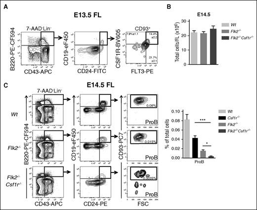 Figure 5. Concomitant loss of FLT3 and CSF1R expression leads to a severe reduction in fetal B-cell progenitors. (A) Representative FACS profiles of CSF1R and FLT3 coexpression on E13.5 FL ProB cells. Numbers represent mean percentage (± SEM) of CSF1R+FLT3+, CSF1R+FLT3–, and CSF1R–FLT3+ ProB cells (n = 16 embryos, 3 experiments). (B) Total FL cells in E14.5 FL of Wt control (light gray), Flk2−/− (gray), and Flk2−/−Csf1r−/− (dark gray) embryos (n = 16-21 embryos per genotype). (C) (Left) Representative FACS profiles of ProB cells in E14.5 FL of Wt, Flk2−/−, and Flk2−/−Csf1r−/− embryos. Numbers represent mean percentage of gated populations relative to total FL cells (4-5 experiments). (Right) Mean percentage (± SEM) of ProB in E14.5 FL of Wt control (light gray), Csf1r−/− (black), Flk2−/− (gray), and Flk2−/−Csf1r−/− (dark gray) embryos (n = 14-21 embryos per genotype). Statistical significance was tested between Csf1r−/− and Csf1r−/−Flk2−/−, and between Flk2−/− and Csf1r−/−Flk2−/−. Because of multiple comparisons, Dunn’s correction of P values was performed (see Methods). ***P < .001; *P < .05.