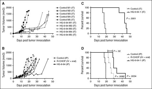 Figure 5. HG6-64-1 inhibits the growth of DLBCL xenograft tumors and prolongs the survival of tumor-bearing mice. Mice bearing subcutaneous OCI-LY-19 xenograft tumors were treated with injections of HG6-64-1, R-CHOP, or PBS. Tumor volume (area in cubic millimeters) is depicted in mice treated with intratumoral injections of HG-6-64-1 (A) or intraperitoneal injections of HG6-64-1, intravenous R-CHOP with orally administered prednisone as described,26 or PBS (B). Overall survival of the mice is shown in (C-D). Similar results to those shown in (A-D) were observed in one additional independent experiment. The P value for survival of mice given R-CHOP treatment compared with control was P = .0082; HG6-64-1 compared with control was P = .0034, and HG6-64-1 compared with R-CHOP was P = .02. IT, intratumoral administration; IP, intraperitoneal administration; IV + oral, intravenous administration alongside oral prednisone.