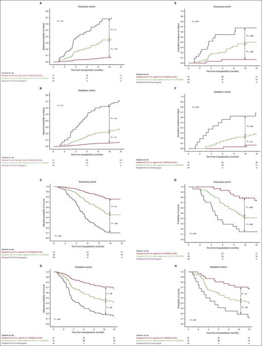 Figure 5. Prognostic impact of key HLA and KIR genotypes emerging from multivariate analysis. Adjusted (A-B and C-D) and unadjusted (E-F and G-H) 1-year probabilities of relapse and OS in the discovery vs validation cohorts according to HLA and KIR genotype. Patients in each cohort were classified into 3 categories: HLA-C1/x receiving an HLA-C1-KIR2DL2/L3/S2 graft (red line), HLA-C1/x receiving an HLA-C1-KIR2DL2/L3/S2 graft (green line), and HLA-C2 homozygous patients (purple line).