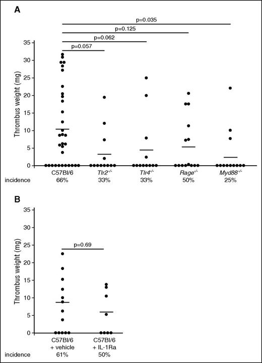 Figure 3. Redundant pattern recognition receptors mediate the prothrombotic effects of HMGB1. (A) Thrombus weight in C57Bl/6 mice (n = 32) compared with Tlr2−/− mice (n = 12), Tlr4−/− mice (n = 12), Rage−/− mice (n = 14), Myd88−/− mice (n = 12). Lines indicate mean. One-way ANOVA followed by LSD–post hoc test was used to compare results between groups. (B) Thrombus weight in C57Bl/6 mice receiving vehicle (n = 13) compared with anakinra s.c. (n = 8). Lines indicate mean. The Student t test was used to compare results between groups.