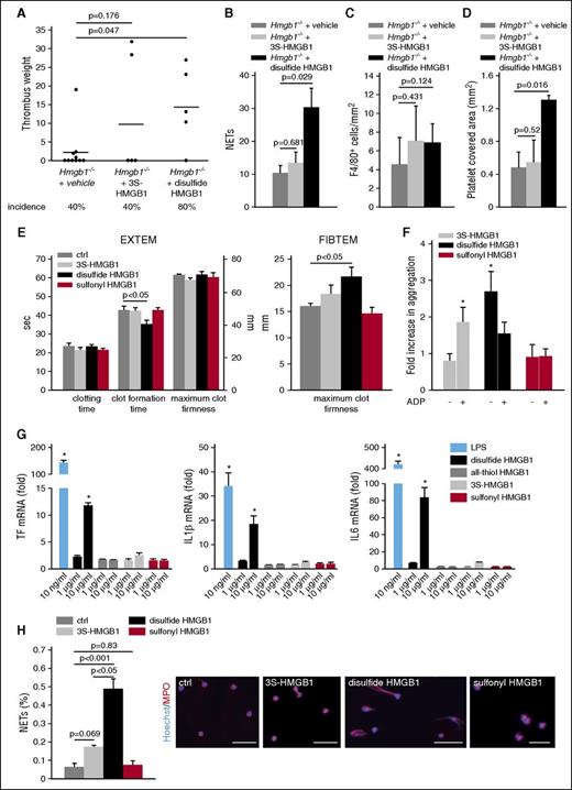 Figure 7. The prothrombotic effects of HMGB1 depend on the redox state. (A) Thrombus weight in Hmgb1−/− chimeras (n = 10) treated with buffer compared with Hmgb1−/− chimeras (n = 5 each) receiving 3S- or disulfide HMGB1. Lines indicate mean. (B) Quantification of NETs, (C), monocytes, (D), and platelet covered area from immunofluorescence stainings of Hmgb1−/− chimeras receiving buffer, 3S-, or disulfide HMGB1 (n = 3 each). (E) Extem (left) and Fibtem (right) 6 hours after IV injection of 3S- (n = 3), disulfide HMGB1 (n = 3), or sulfonyl (n = 3) compared with control (n = 5). (F) Fold increase in whole-blood aggregation after incubation with 3S-, disulfide, or sulfonyl HMGB1 compared with control stimulated with buffer. This was followed by stimulation by ADP in the groups indicated (n = 4-6). (G) Results from RT-PCR for TF (left), IL-1β (middle), and IL-6 (right) of peripheral blood human monocytes incubated with different redox forms of HMGB1 and LPS for 3 hours shown as fold increase compared with control stimulated with the respective buffer (n = 3 each). (H) Left, Quantification of NET formation in vitro after stimulation of isolated human neutrophils with buffer, 3S-, disulfide, or sulfonyl HMGB1 (n = 3 each). Right, Representative images of immunofluorescence stainings for MPO (red) and Hoechst (blue); bar, 50 µm. Results are mean ± SEM. *P < .05. The Student t test was used to compare results between 2 groups, 1-way ANOVA followed by LSD–post hoc test for 3 groups.