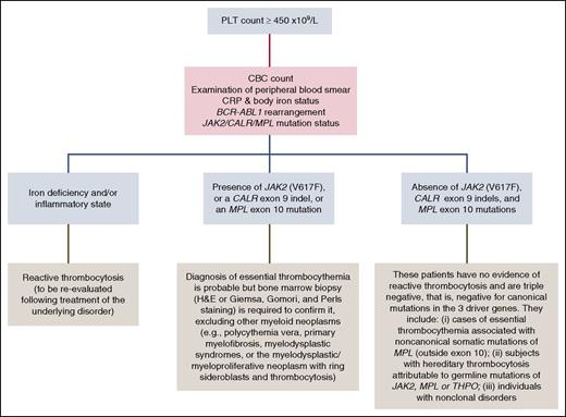 Figure 1. Our approach to the differential diagnosis of thrombocytosis. For the analysis of JAK2/CALR/MPL mutations status, we use granulocyte DNA and perform the following tests sequentially: (1) a quantitative polymerase chain reaction–based allelic discrimination assay for JAK2 (V617F) with a sensitivity of <0.1%; (2) if JAK2 (V617F) is absent, Sanger sequencing for detection of CALR exon 9 indels; (3) if JAK2 (V617F) is absent and CALR exon 9 is wild type, a high-resolution melt assay for detection of MPL exon 10 mutations followed by Sanger sequencing in case of mutant pattern. H&E, hematoxylin and eosin.