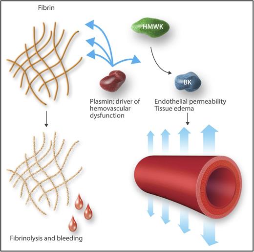 Plasmin as a driver of hemovascular dysfunction. Professional illustration by Somersault18:24.