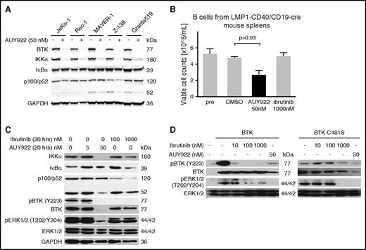 Figure 1. HSP90 inhibition targets BTK and IKKα to overcome BTK resistance. (A) Immunoblotting of MCL lines for the indicated targets after 48-hour exposure to AUY922 50 nM or vehicle. (B) Viable cell counts of splenic B cells from LMP1-CD40//CD19-Cre mice prior to exposure (pre) or upon exposure to the indicated agents for 20 hours. P value based on 2-sided unpaired Student t test. Error bars indicate standard deviation (SD). (C) Immunoblotting of the cells described in panel B for the indicated targets. (D) Immunoblotting of 293T cells expressing wt BTK or BTK C481S and treated for 20 hours with the indicated agents. GAPDH, glyceraldehyde-3-phosphate dehydrogenase.