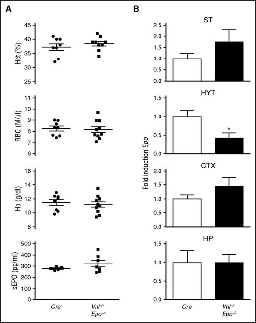 Figure 2. Epo induction in NG2-Vhl−/− mice is cell autonomous. (A) Shown are individual Hcts, RBC, and Hb values for Cre− control and in NG2-Vhl−/−Epo−/− mice (n = 8-10). Bar graphs show serum EPO levels (sEPO) for Cre− and NG2-Vhl−/−Epo−/− mice (n = 5-7). (B) Striatal (ST), hypothalamic (HYT), cortical (CTX), and hippocampal (HP) Epo mRNA levels in Cre− and NG2-Vhl−/−Epo−/− mice (n = 4 each). Data are represented as mean ± SEM; 2-tailed Student t test; *P < .05 compared with Cre− control group.