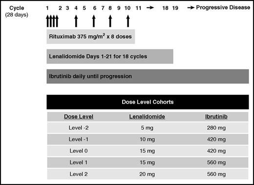 Figure 1. Dosing schema.
