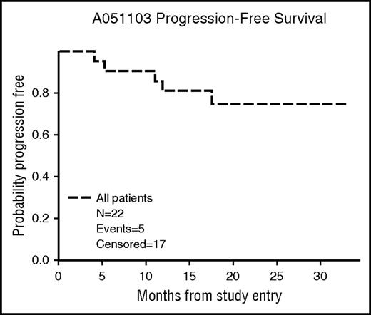 Figure 2. Progression-free survival.