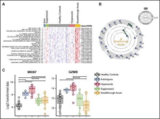 Figure 4. The T-cell transcriptome of breakthrough acute GVHD. (A) Heatmap of the top 25 gene sets enriched in the breakthrough acute cohort using ssGSEA and (B) constellation map visualization. (C) Box plots of expression data (Log2 normalized fluorescent intensity signal) for MKI67 and granzyme B (GZMB). Horizontal significance bars denote comparisons with a moderated t statistic < 0.05 corrected for multiple hypothesis testing.