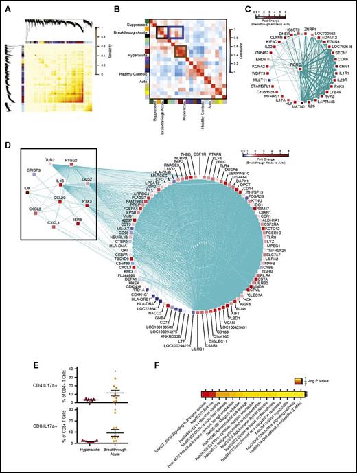 Figure 6. WGCNA reveals a Th/Tc17 transcriptional program mediating breakthrough acute GVHD in NHP. (A) Topological overlap matrix plot with hierarchical clustering tree and the resulting gene modules from a weighted network of T-cell transcripts. (B) Eigengene adjacency heatmap showing module eigengene similarity to NHP clinical cohorts. (C) Visualization of gene coexpression network connections between the most connected genes in the orange module using Cytoscape. Shown are nodes and network connections with topological overlap above a threshold of 0.05. Mean expression fold-change values of breakthrough acute vs autologous cohorts for each gene is visualized using a false-color scale. (D) Visualization of gene coexpression network connections between the most connected genes in the black module using Cytoscape. Shown are nodes with network connections whose topological overlap is above a threshold of 0.05. Edges with network connections above the threshold of 0.07 are shown. Mean expression fold change values of breakthrough acute vs autologous cohorts for each gene are visualized using a false-color scale. (E) Flow cytometric analysis of PBMCs at the time of terminal analysis stimulated with PMA/ionomycin and measured for the production of IL17a. *P < .05 using an unpaired t test. (F) Pathway enrichment for genes in the black WGCNA module performed using DAVID.59 Shown are those terms with a P < .05 (corrected for multiple hypothesis testing using the Benjamini procedure). Significance values are displayed using a false-color scale and are given in units of −log10 of the corrected P value.
