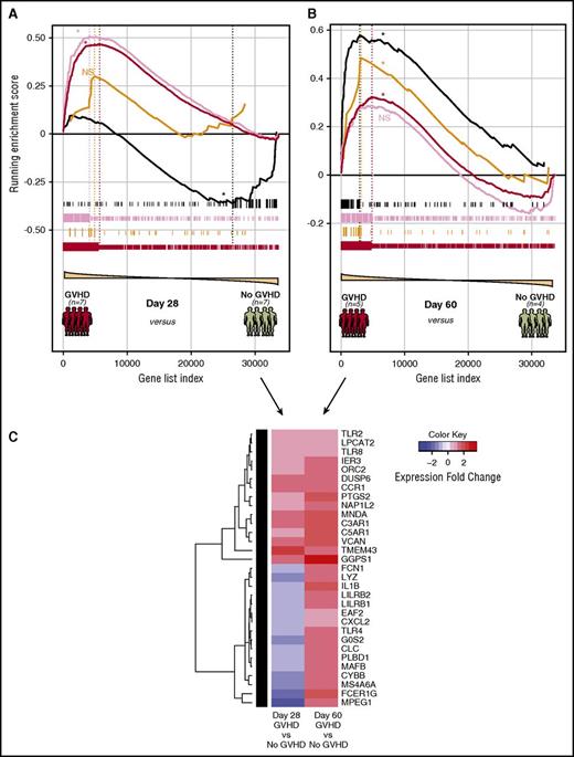 Figure 7. Evolution of module enrichment in T cells from patients with GVHD. (A) Gene-set enrichment plot of selected NHP-WGCNA modules in patients who were diagnosed with GVHD at day 28 ± 7 posttransplant. Significant running enrichment scores were found in the dark-red and pink modules, but not for the orange and black modules for the day 28 samples. *FDR < 0.01. (B) Gene-set enrichment plot of selected NHP-WGCNA modules in patients who were diagnosed with GVHD day 60 ± 7 posttransplant. Significant running enrichment scores were found for both orange and black NHP gene modules at day 60 in patients with GVHD. Enrichment was also noted for the dark-red module, but not the pink module in the day 60 samples. *FDR < 0.01. (C) Heatmap showing the evolution of enrichment of the black module in patients diagnosed with GVHD at day 28 compared with day 60. Patients with GVHD were dichotomized into early GVHD (either at day 28 ± 7 posttransplant) or late GVHD (day 60 ± 7 posttransplant). Genes shown are those from the black NHP module exhibiting leading edge enrichment in patients at day 60 and their expression in either day 28 or day 60 GVHD patients relative to GVHD-negative controls.