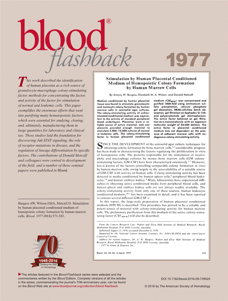 First page of Burgess AW, Wilson EMA, Metcalf D. Stimulation by human placental conditioned medium of hemopoietic colony formation by human marrow cells. <italic>Blood</italic>. 1977;49(4):<related-article id="ra1" related-article-type="companion" ext-link-type="pmc" vol="49" page="573" journal-id="0006-4971" journal-id-type="issn">573-583</related-article>.