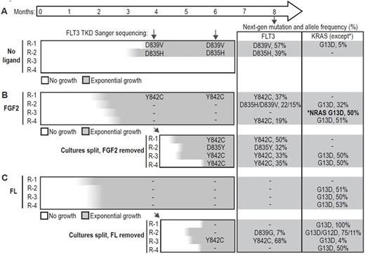 Figure 1. MOLM14 cells cultured in A) media, B) FGF2 or C) FL.