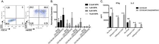 Figure. A) Cells underwent successful dual transduction followed by mRNA TALEN transfection for development of CD3/TcR- CD19CAR+EGFRt+ CNA22-IMPDH2Δ-HER2tG+ T cells. B) Transduced T cells underwent selection for their respective markers, were stimulated and cultured for 21 days at varying MPA concentrations. Cells transduced to express IMPDH2Δ exhibited improved expansion as compared to CD19CAR and mock control cells. Data was normalized to the cell group's no drug control expansion. C) Following co-culture with K562-CD19 antigen cells with CSA concentrations of 0-1000ng/ml CD19CAR cells transduced with the drug resistant vector secreted significantly increased IFNg and IL-2 levels compared to CD19CAR only cells. NS = not significant; Horizontal bars indicate statistical significance defined as p-value <0.05.
