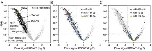 Figure 1. (A) Volcano plot showing HITS-CLIP peaks in KO vs. WT erythroblasts. Known targets of miR-144/451 (Ywhaz, Cab39 and Vapa) are indicated. (B) Distribution of canonical seed sequences of miRNAs deleted in KO mice. (C) Distribution of canonical seed sequences of miRNAs not deleted in KO mice.
