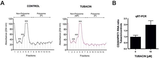 Figure. Polysomal profiling. / Cytosolic lysates from control and tubacin- pretreated Raji cells were prepared in lysis buffer followed by two centrifugations. Cytosolic proteins were layered onto linear sucrose gradient and sedimented by a 2h centrifugation. The gradients were collected in 15 fractions and absorbance profiles were generated at 254 nm (A). Polysomal fractions were pooled for further RNA extraction and quantitative PCR (B).
