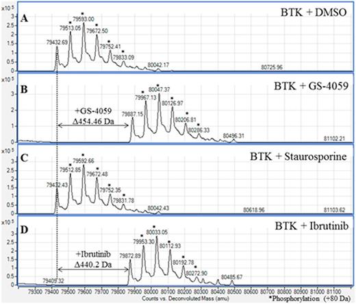 Figure 1. Mass Spectrometry Analysis Showing Mass Shift of BTK upon Binding of GS-4059. The reversible noncovalent inhibitor staurosporine and the irreversible covalent inhibitor ibrutinib were used as controls.