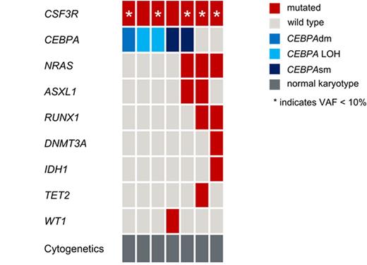 Figure. Molecular abnormalities and cytogenetics in CSF3R mutated AML.