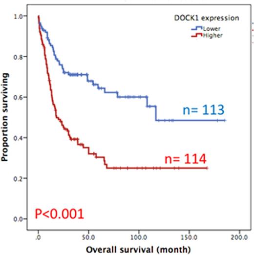 Figure 1A. Overall survival of AML patients with higher expression versus lower expression of DOCK1