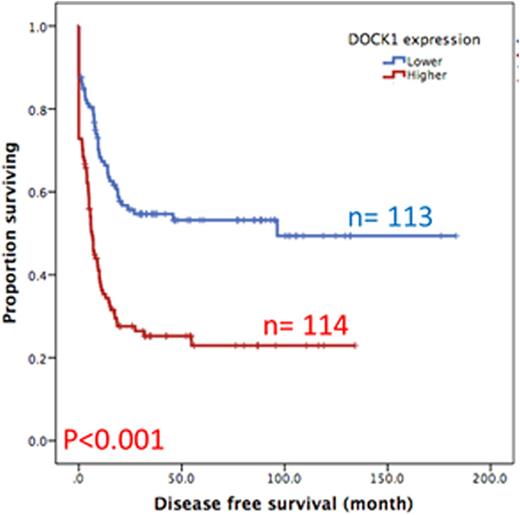 Figure 1B. Disease free survival of AML patients with higher expression versus lower expression of DOCK1
