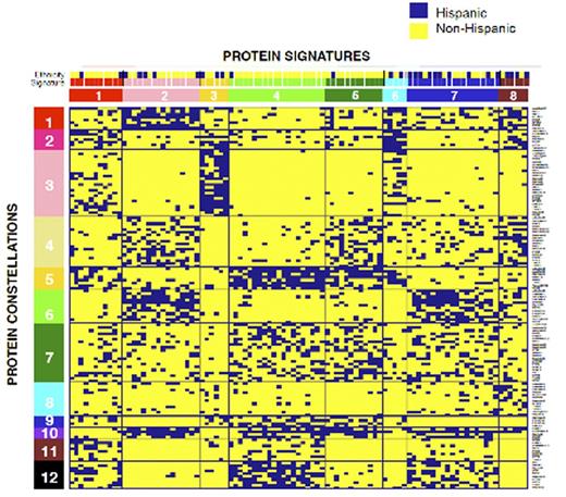 Figure 1. Hierarchical clustering shows recurrent patterns of 12 PrCON (y-axis) that form 8 recurrent PrSIG (x-axis). The association with Hispanic ethnicity is shown.