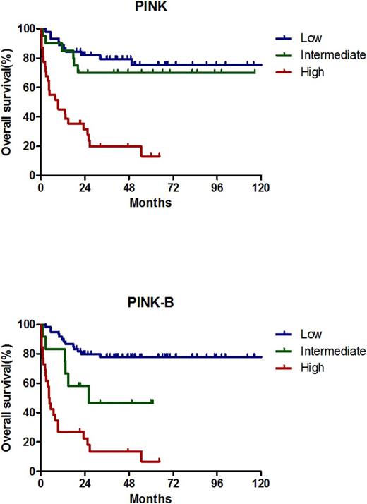 Figure 1. overall survival according to PINK, PINK-E, PINK-B in the training cohort