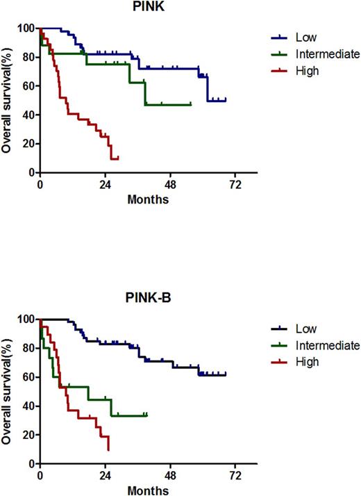 Figure 2. overall survival according to PINK, PINK-E, PINK-B in the validation cohort