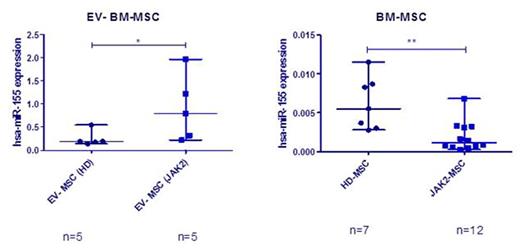 Figure 2. Expression of miR-155. RT-PCR from EV released from HD and MPN-MSC (A), and the expression of miR-155 in BM-MSC (B).
