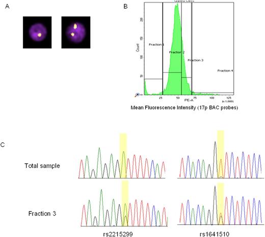 Figure 2: Successful enrichment of low frequency CLL subclones based on 17p status. (A) FISH-IS images. (B) Flow sorting. (C) Validation of enrichment by SNPs within TP53.