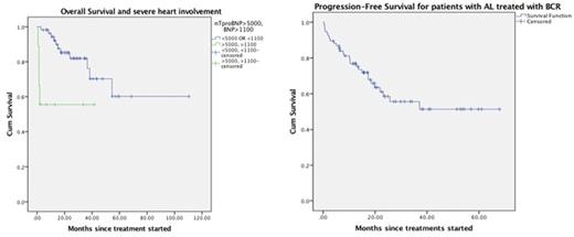 Figure 1. PFS for the whole AL group treated with BCR