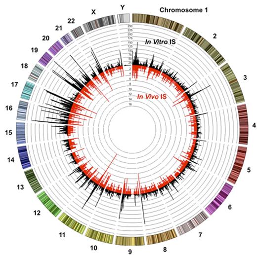 Figure 1. Comparison of in vitro vs in vivo HIV Integration Sites.
