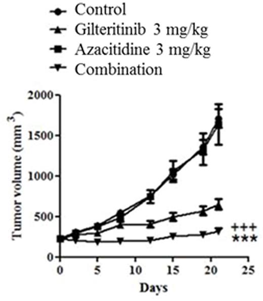 Figure. Antitumor Effect of Gilteritinib in Combination with Azacitidine in Mice Xenografted with MV4-11 Cells. / ***P<.001 vs gilteritinib alone; +++ P<.001 vs azacitidine alone (Student's t-test).