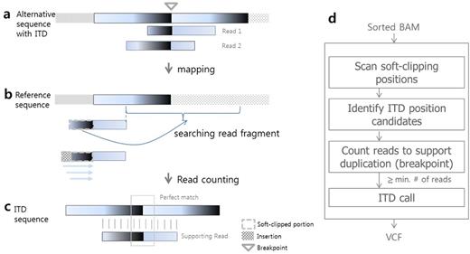Figure. FLT3-ITD detection procedure.