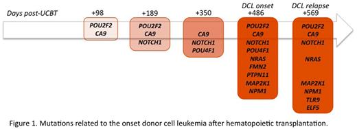 Figure 1. Mutations related to the onset of donor cell leukemia after hematopoietic transplantation.