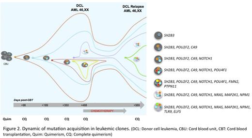 Figure 2. Dynamic of mutation acquisitions in leukemic clones.(DCL: Donor cell leukemia, CBU: Cord blood unit, CBT: Cord blood transplantation, Quim: Quimerism, CQ: Complete quimerism)