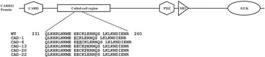 Figure 2. Mutations within CARD11 protein detected in CAD patients.
