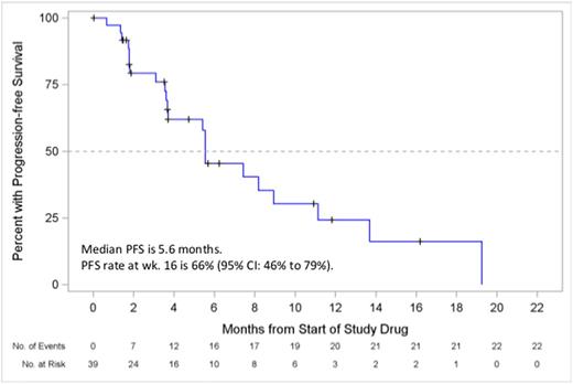 Figure 2. Kaplan-Meier Curve of Progression-Free Survival.