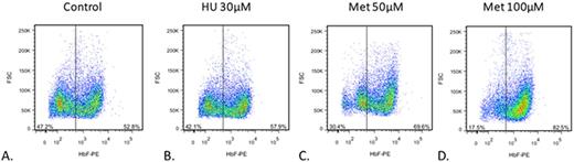 FIgure 1. Cellular distribution of HbF in response to metformin treatment. Flow cytometry of primary erythroid cells, forward scatter and intracellular HbF staining. A. Untreated cells B. Treatment with HU. C, D. Treatment with two concentrations of metformin.