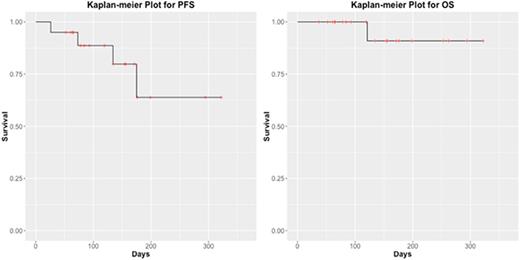 Figure. Kaplan-meier plots for progression free and overall survival.
