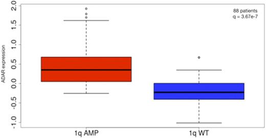 Figure 1. ADAR expression in 1q-amp vs wt patients.