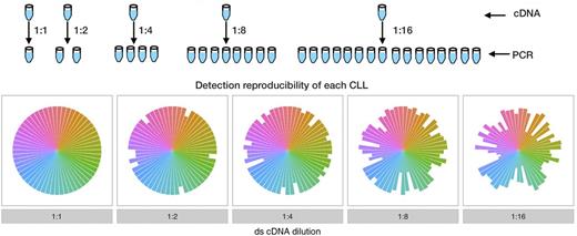 Figure 2. Each dilution is performed in replicates. The cDNA is obtained from all the RNA extracted from the starting cells. Each slice represents a different CLL, and each slice size is the frequency for which it is detected. A comprehensive detection of each CLL is dependent to the absence of genetic material dilution.
