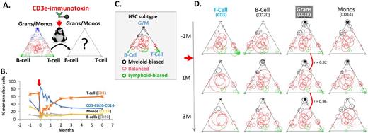 Figure 1. A. Hematopoietic recovery after CD3e-immunotoxin treatment (red arrow) was assessed at the clonal level. B. CD3+ T cells were effectively ablated by immunotoxin treatment. The T-cell percentage rebounded to the normal range by 2-3 months. C. A ternary diagram showing Myeloid-biased (black circles), Balanced (red circles), and Lymphoid-biased (green circles) HSC subtype clones. The relative position of a circle in the diagram indicates the lineage output potential toward G/M (granulocyte/monocyte), B-cell, and T-cell. The size of a circle indicates the relative frequency of a clone. D. The relative frequencies of the HSC clones in T-cell, B-cell, Granulocytes, and monocytes are shown at 1 month before (-1M), 1 month (1M) and 3 month (3M) immunotoxin treatment. The individual clones (circles) are located at the identical positions in C.