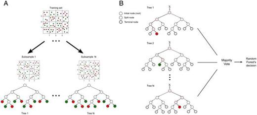 Scheme of Random Forest method used in our study