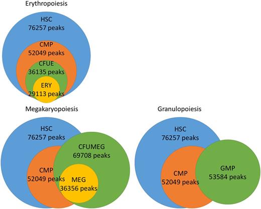 Figure 1. Venn diagrams, annotated with total DNA methylation peak counts for a cell type, depicting the intersections between the peaks of DNA methylation profiles in megakaryopoiesis and granulopoiesis, compared to erythropoiesis.